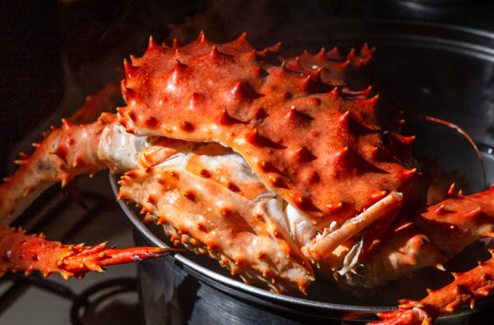 King crab