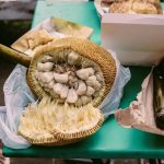 Cempedak