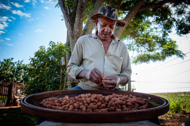 Tips mengupas kacang