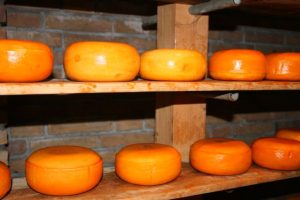 keju Gouda