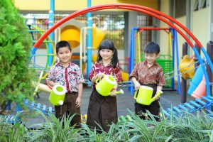 Memilih TK anak